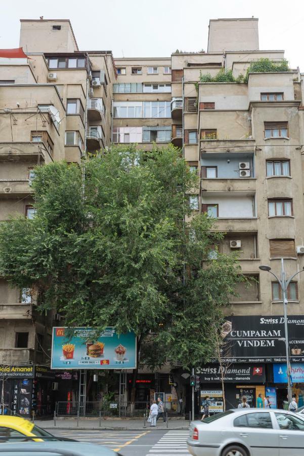 Petite Maison Sur Le Boulevard Bukarest Exteriör bild